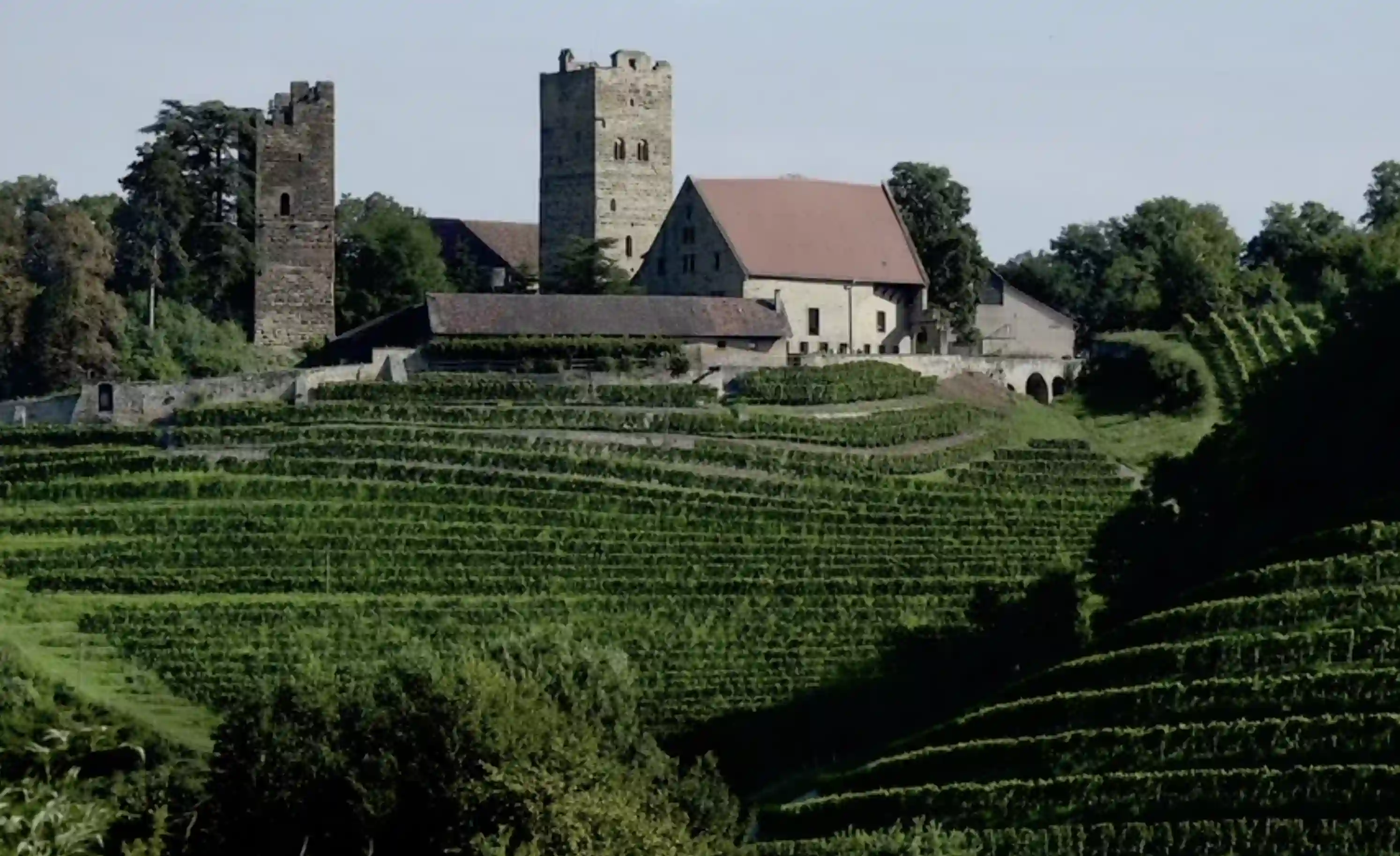 Zabergäu