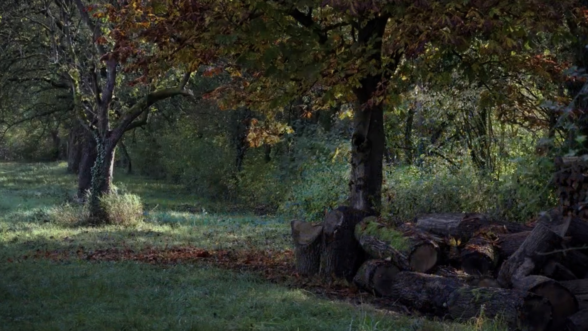 Bild 012