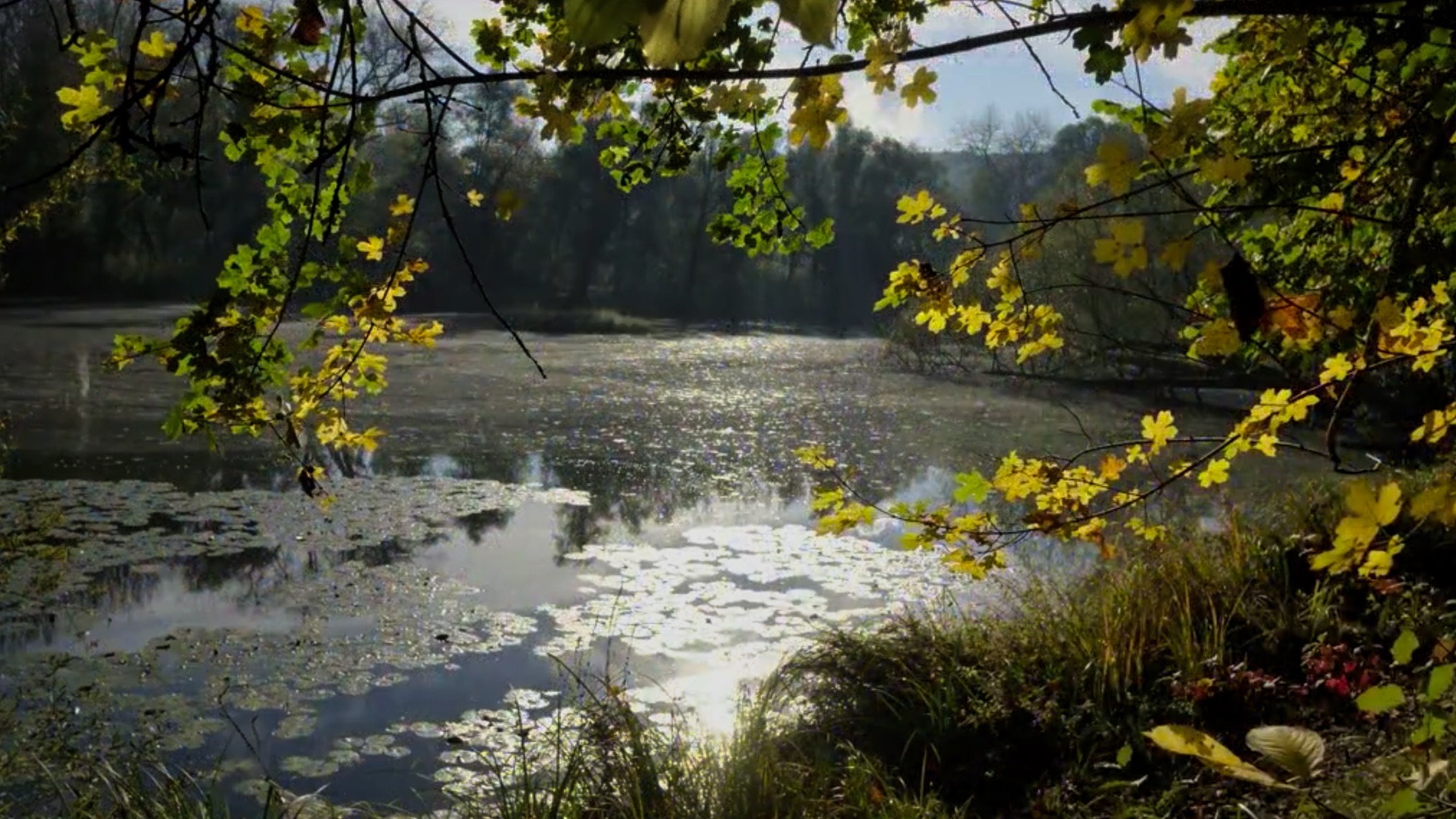 Bild 01