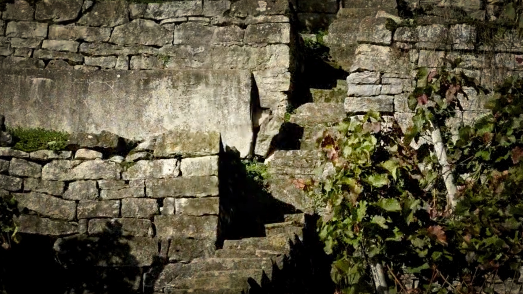 Bild 01
