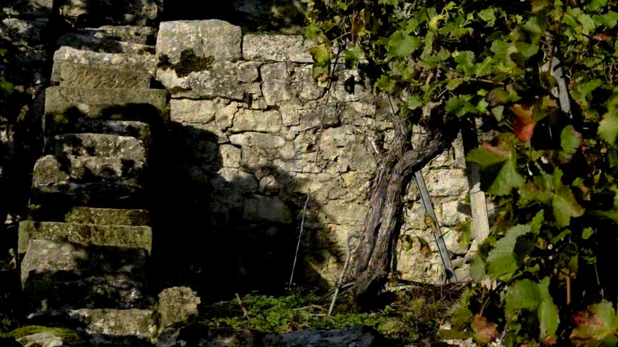 Bild 01