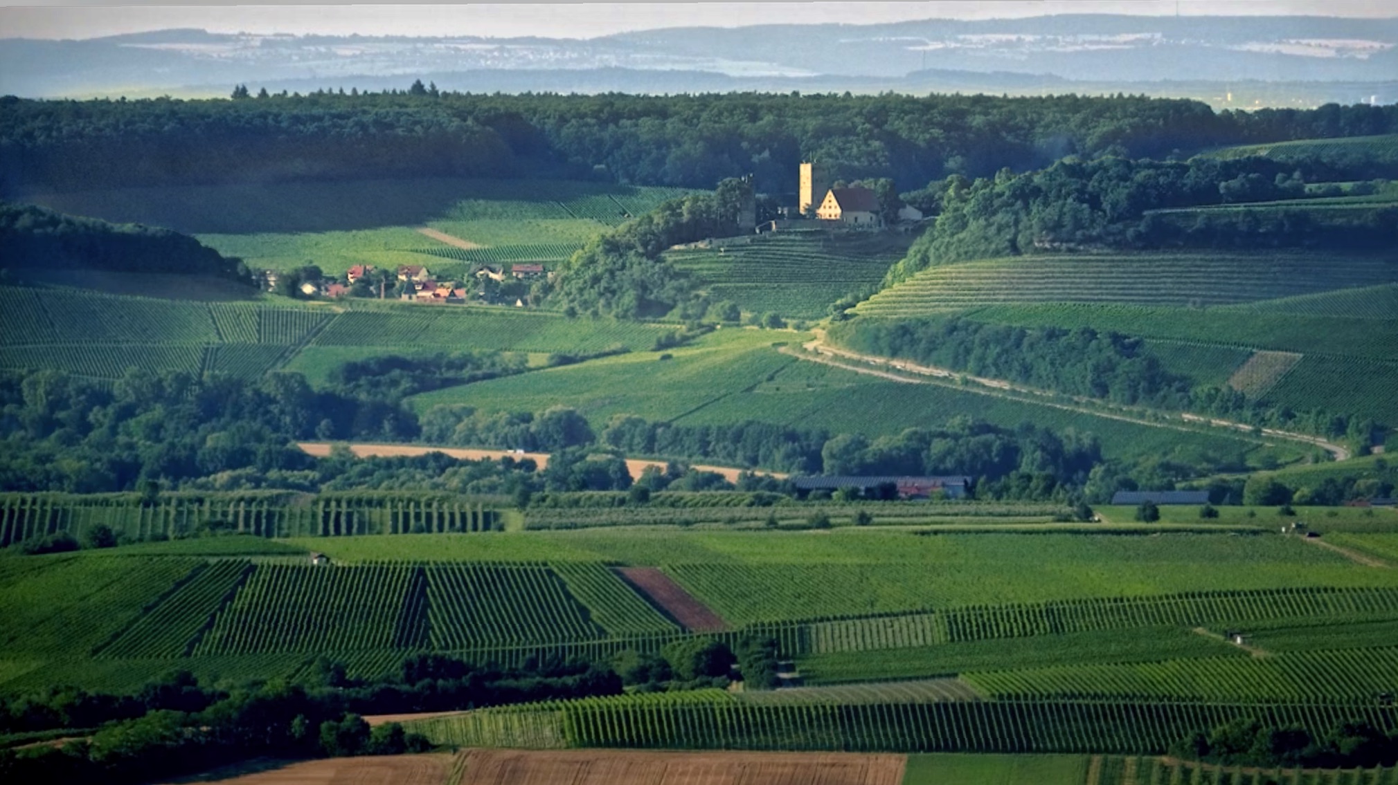 Bild 01